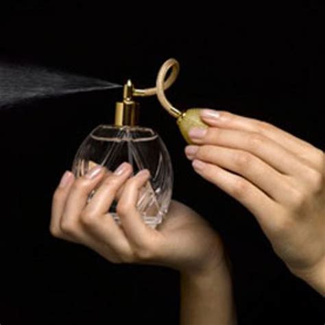 smell of danger perfume ingredients